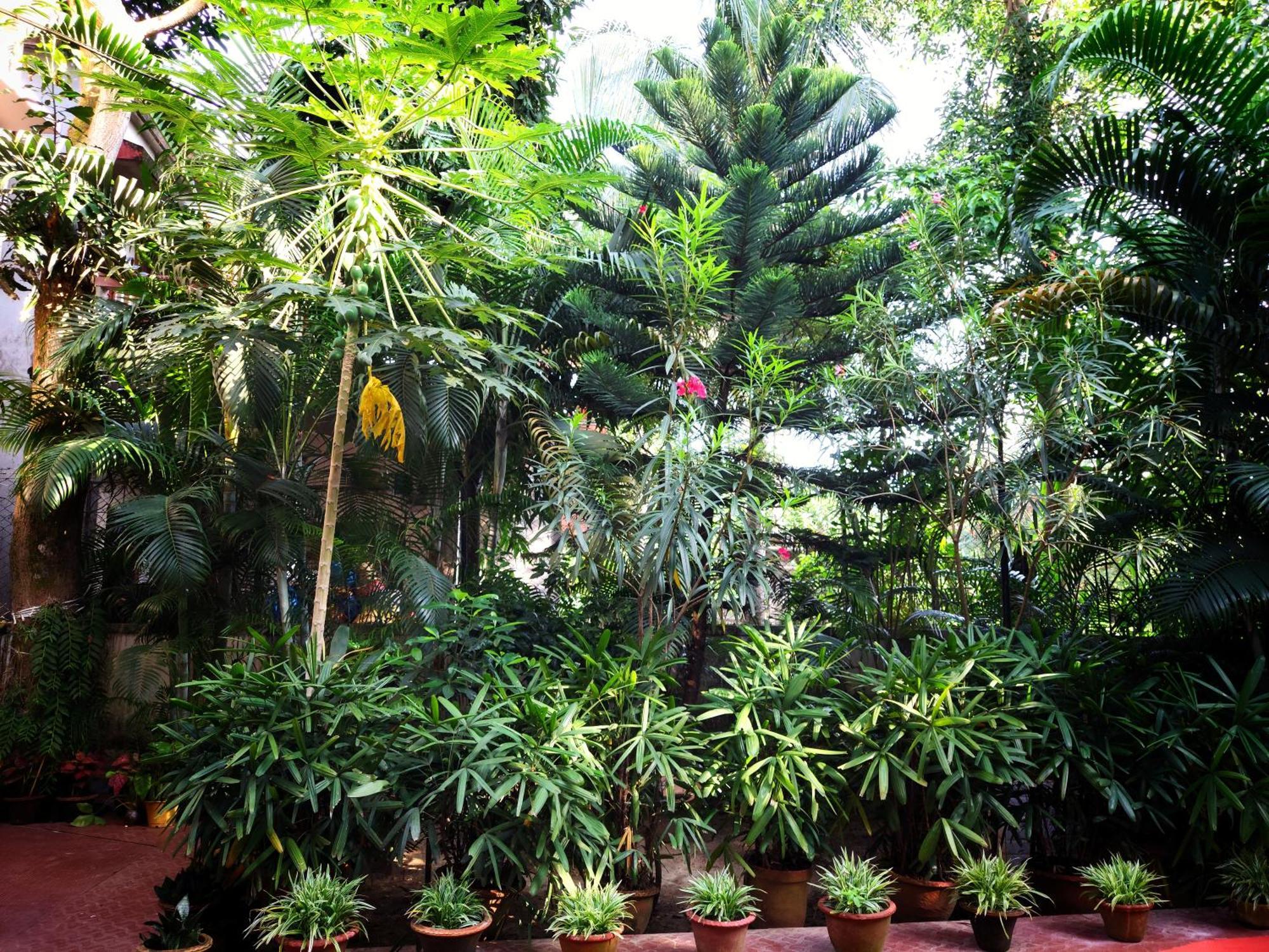 Chaiti Eco Homestay- Santiniketan Bolpur Dış mekan fotoğraf