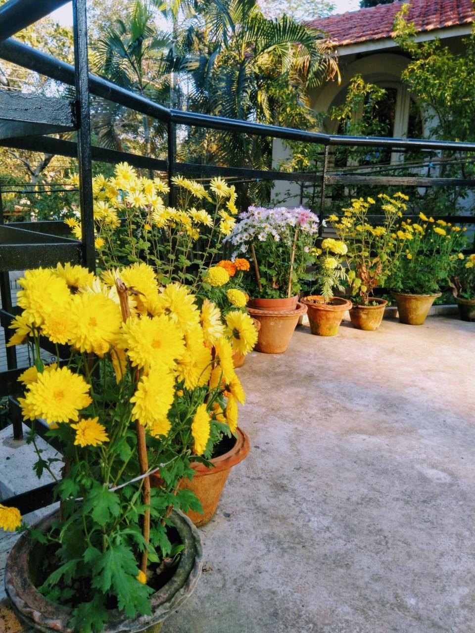 Chaiti Eco Homestay- Santiniketan Bolpur Dış mekan fotoğraf